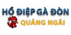 Hồ Điệp Gà Đòn