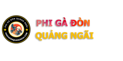 Phi Gà Đòn Quảng Ngãi