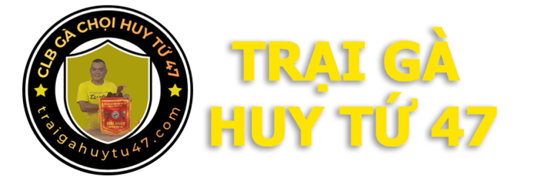 Trại Gà Huy Tứ 47 - Xổ gà trực tiếp Trại Gà Huy Tứ 47 - Xổ gà trực tiếp