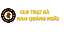 Trại Gà Nam Quảng Ngãi