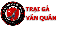 Trại Gà Văn Quân